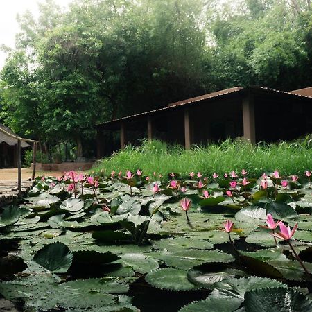 Hampi'S Whiskers Resort Bagian luar foto