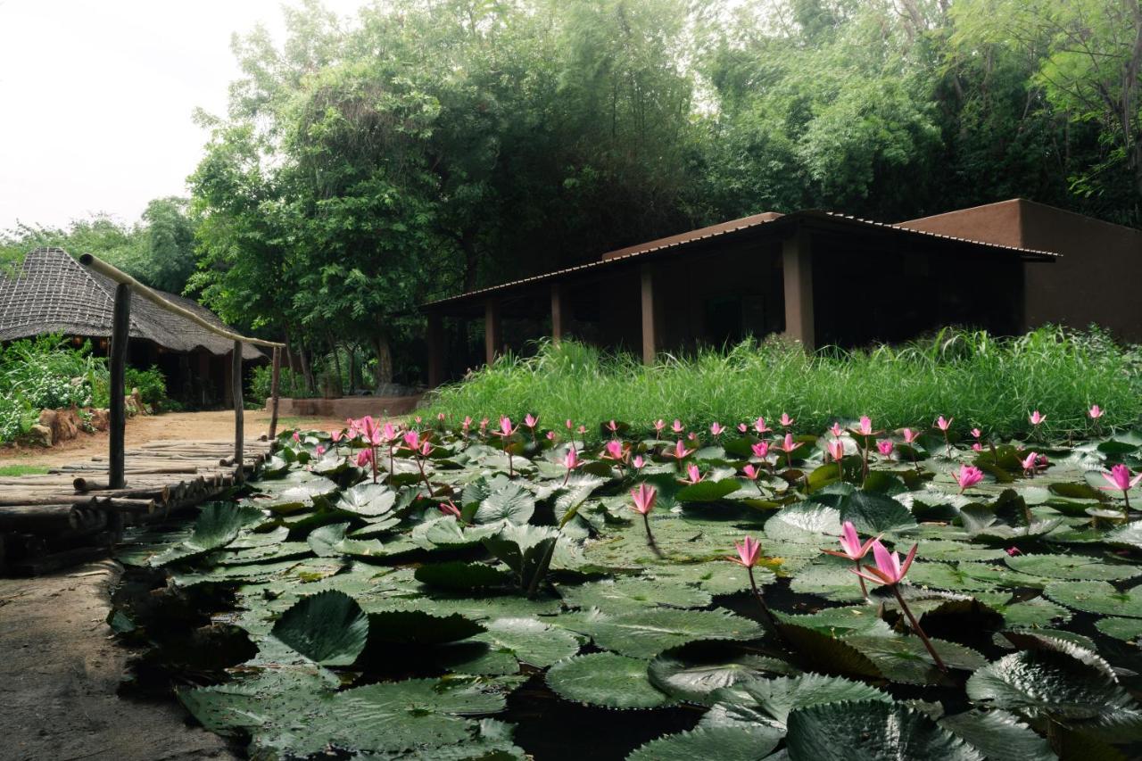 Hampi'S Whiskers Resort Bagian luar foto